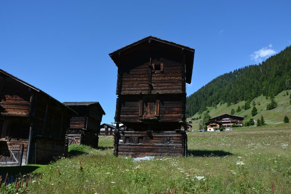 Hotel Restaurant Walliser Sonne Reckingen Dış mekan fotoğraf