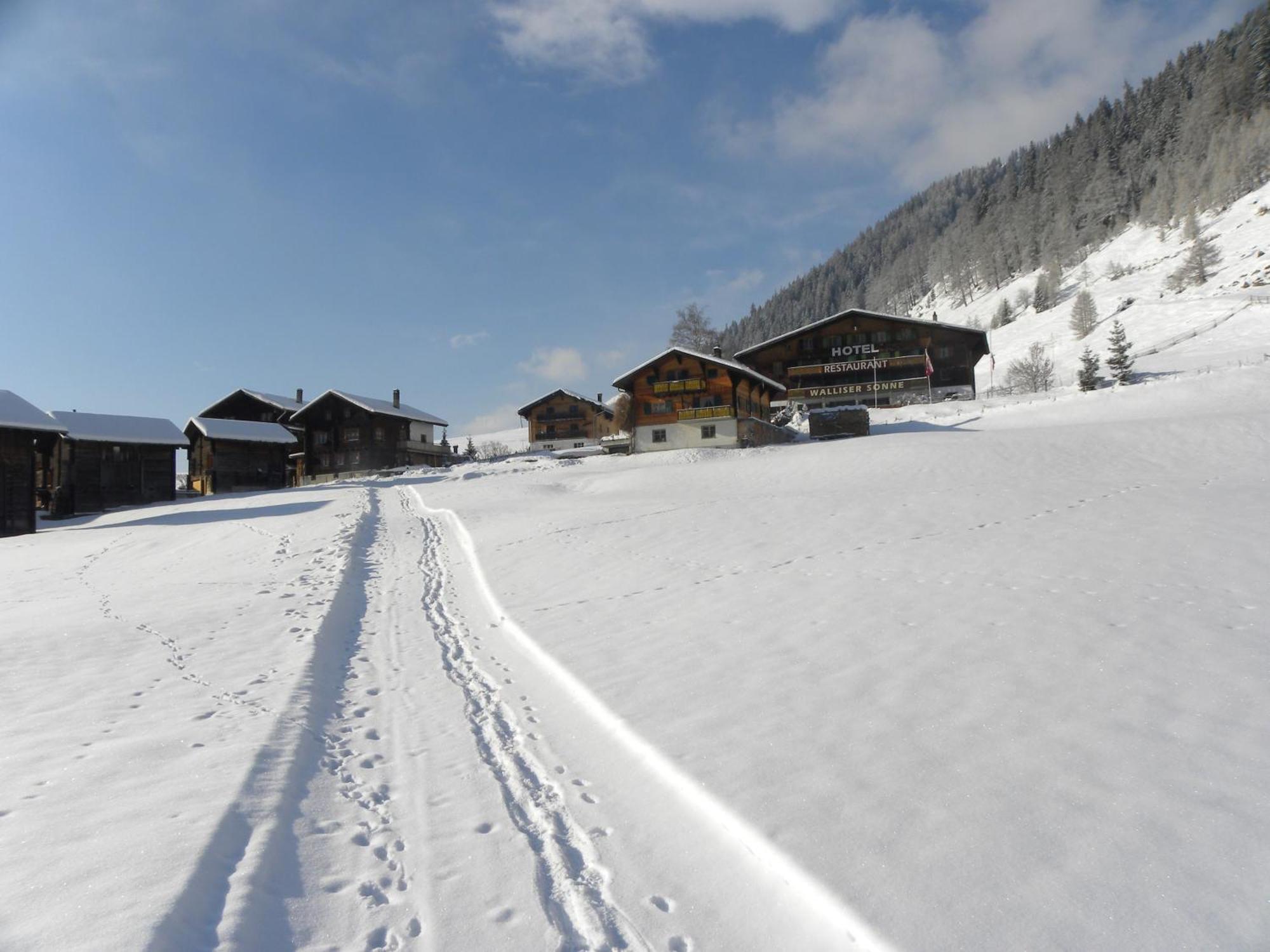 Hotel Restaurant Walliser Sonne Reckingen Dış mekan fotoğraf